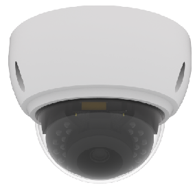 Smart Face Recognition Dome Camera